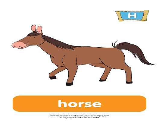 <p>horaito the horse</p>