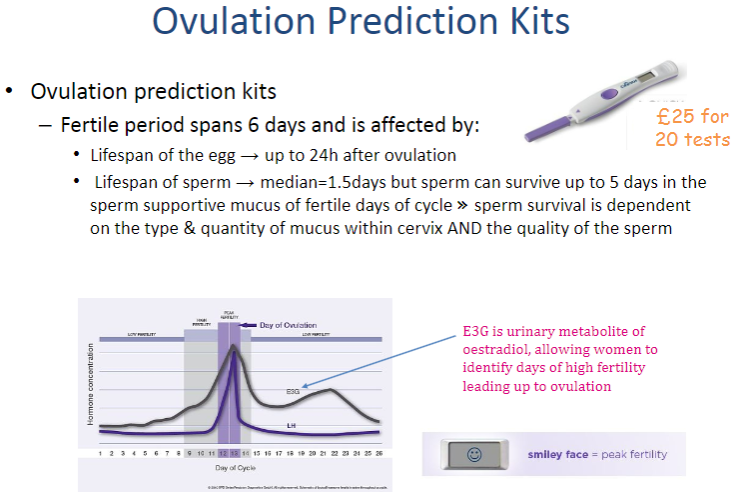 <p>The fertile period spans 6 days.</p><p>Lifespan of the egg: Up to 24 hours after ovulation.</p><p>Lifespan of sperm: Median survival is 1.5 days, but sperm can survive up to 5 days in sperm-supportive mucus.</p><p>Sperm survival is dependent on the type and quantity of cervical mucus, and the quality of the sperm.</p>