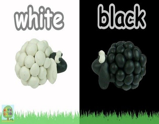 <p>white and black</p>