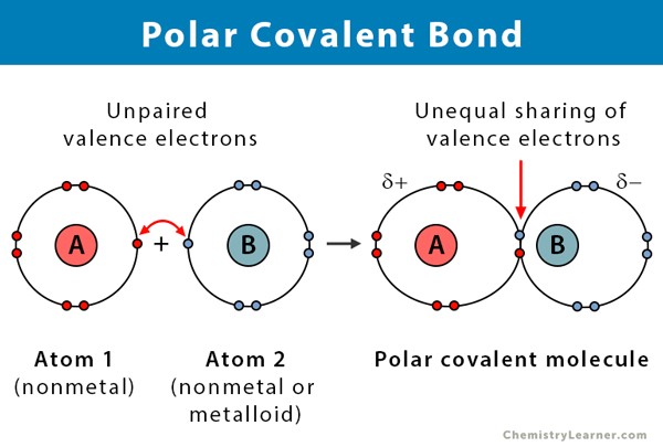 <p>when atoms are sharing electrons unequally, one atom attracts more strongly than the other. </p>