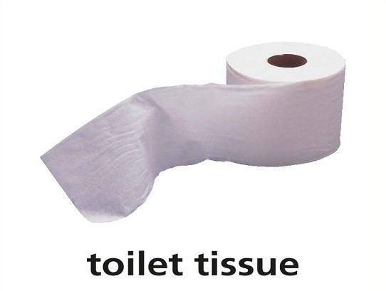 <p>toilet tissue</p>