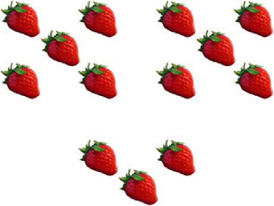 strawberries thirteen