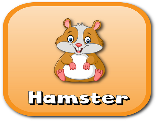 hamster