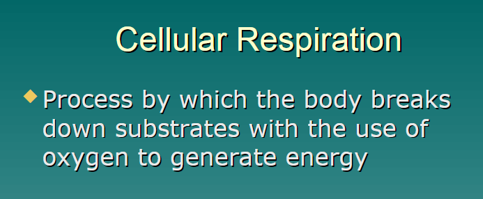 <p>process by which the body breaks down substrates with the use of oxygen to generate energy </p>