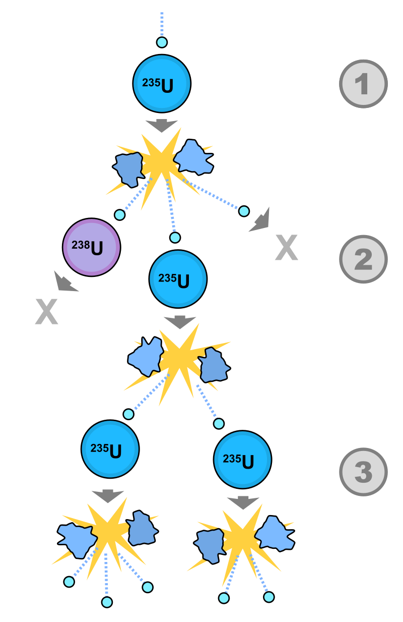 <p>When an atom undergoes nuclear fission, a few neutrons are ejected from the reaction. These free neutrons will then interact with the surrounding medium, and if more fissile fuel is present, some may be absorbed and cause more fissions. Thus, the cycle repeats to give a reaction that is self-sustaining.</p>