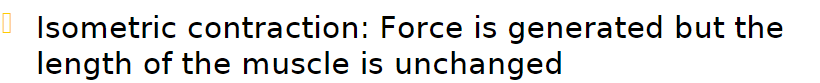 <p>force is generated but the length of the muscle is unchanged </p>