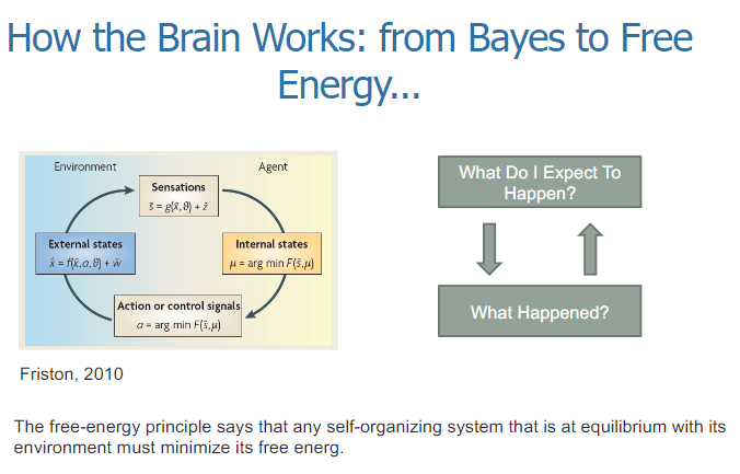 <p>The free-energy principle states that any self-organizing system at equilibrium with its environment must minimize its free energy.</p><p>In the context of the brain, this principle suggests that the brain constantly makes predictions about what will happen (expectations) and updates its beliefs based on the difference between what was expected and what actually happened (prediction error) to reduce free energy.</p>