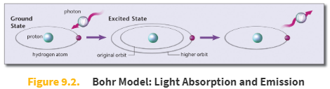 <p>The Bohr model states that electron energy levels are stable and discrete, corresponding to specific orbits.</p>