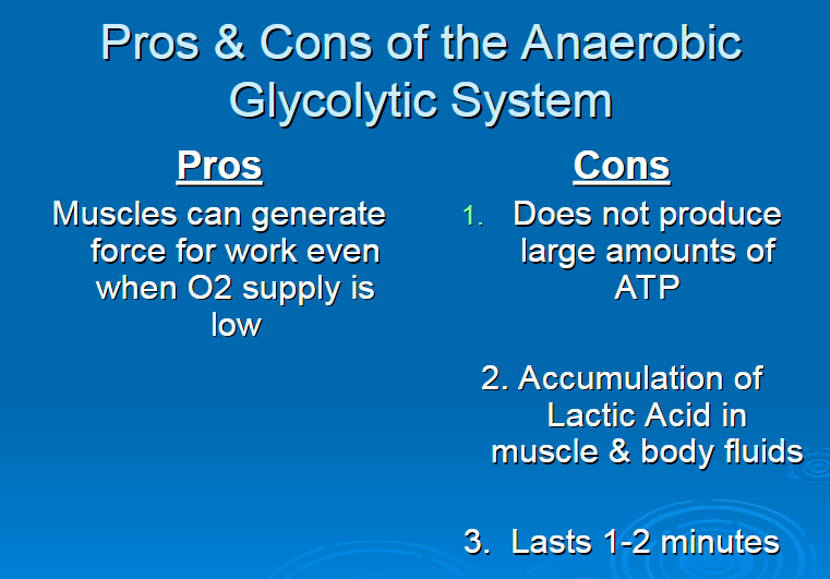 <p>does not produce large amounts of ATP</p><p>accumulation of lactic acid in muscle and body fluids</p><p>lasts 1-2 minutes</p>