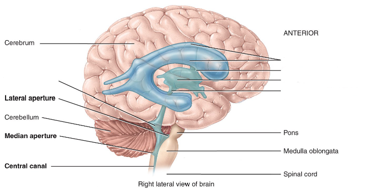 <p>Label the diagram.</p>