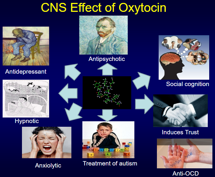 <p><strong>Antipsychotic</strong></p><p><strong>Antidepressant</strong></p><p><strong>Social cognition enhancement</strong></p><p><strong>Hypnotic</strong></p><p><strong>Induces trust</strong></p><p><strong>Anxiolytic</strong></p><p><strong>Treatment for autism and anti-OCD</strong></p>