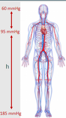 <p>Some information of the importance of standing pressure:</p>
