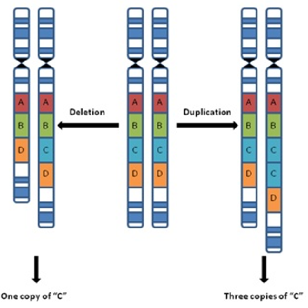 <p>Variation in the number of copies of a particular gene or genomic region (1)</p>