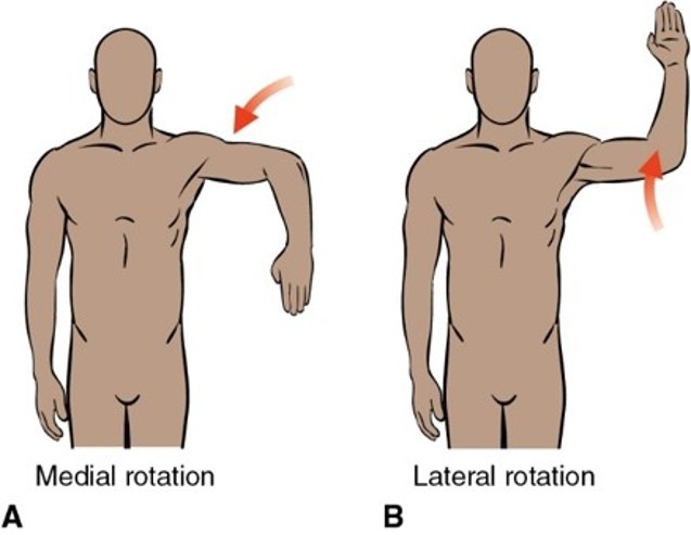 <p>What plane and axis does Medial/lateral rotation occur?</p>