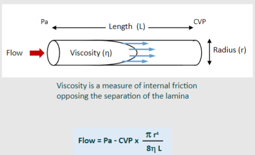 <p>-Viscosity of blood Vessel diameter</p><p>-Haematocrit</p>