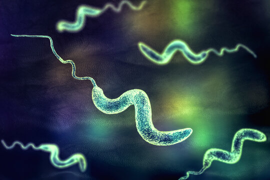 <p>Motility: Flagella INSIDE spins bacterium (protects from antibody)</p>