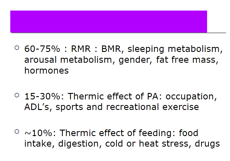 <p>total daily energy expenditure </p>