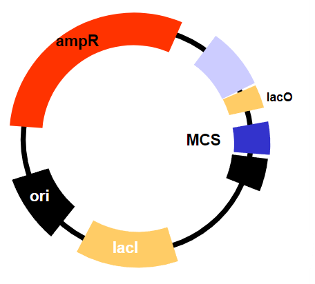 <p>The constitutive expression of the lac inhibitor</p>