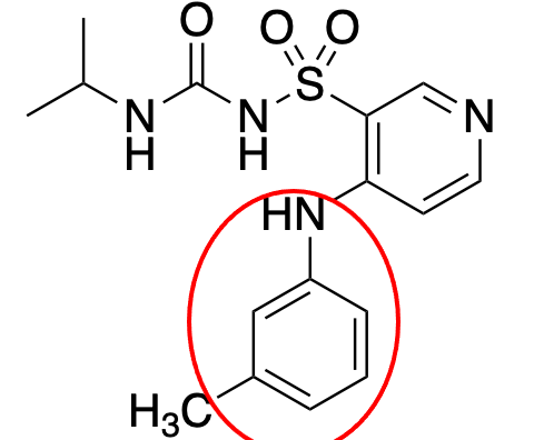 <p>What is the name of this group? </p>