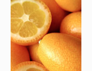 <p>kumquat</p>