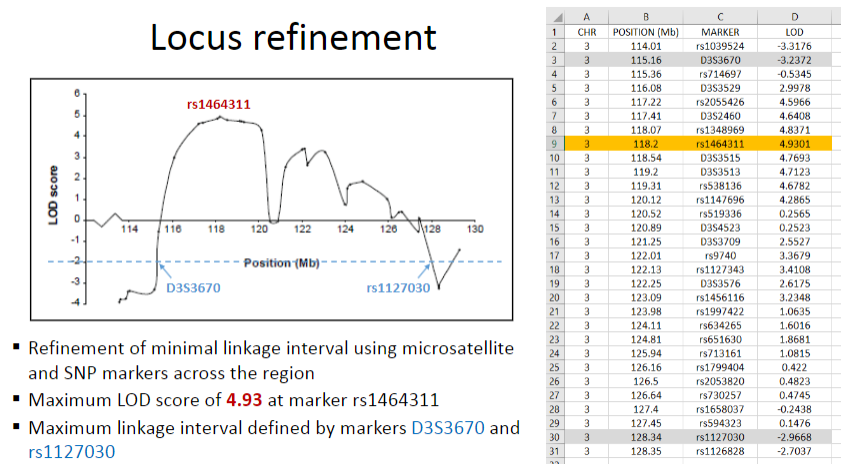 <p><strong>Refinement of the minimal linkage interval</strong> using <strong>microsatellite</strong> and <strong>SNP markers</strong> across the region.</p>