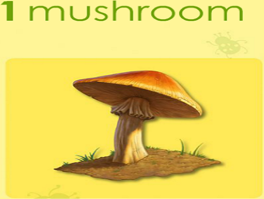 mushroom one