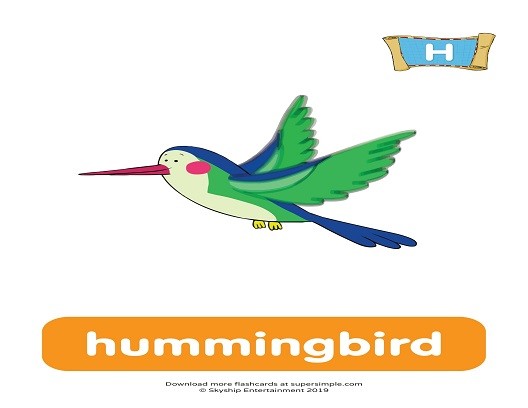 <p>helene the hummingbird</p>