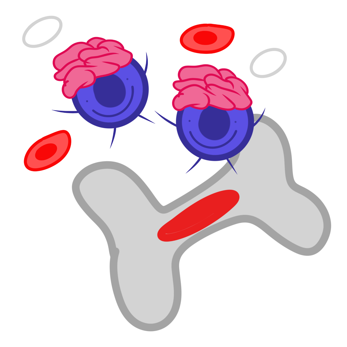 <p><span class="tt-bg-yellow">Stem cells</span> in bone <span class="tt-bg-yellow">marrow</span></p>