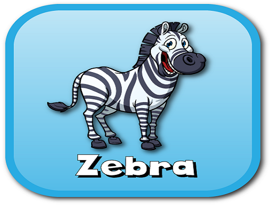 zebra