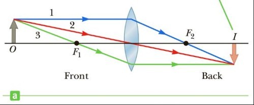 <p><strong>real</strong>, <strong>inverted</strong>, and on the <strong>back</strong> side of the lens. Magnification can change depending on distance?</p>