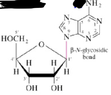 <p>Welk molecuul?</p>