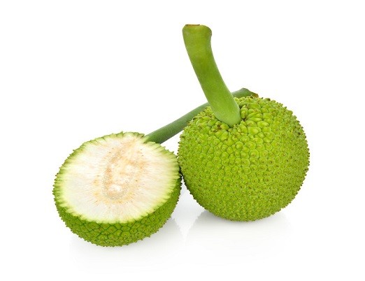 breadfruit