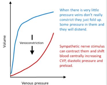 <p>-Increases venous return, CVP &amp; end-diastolic pressure</p><p>-Increased CVP increases preload and so increases</p><p>stroke volume (Starling's law)</p>