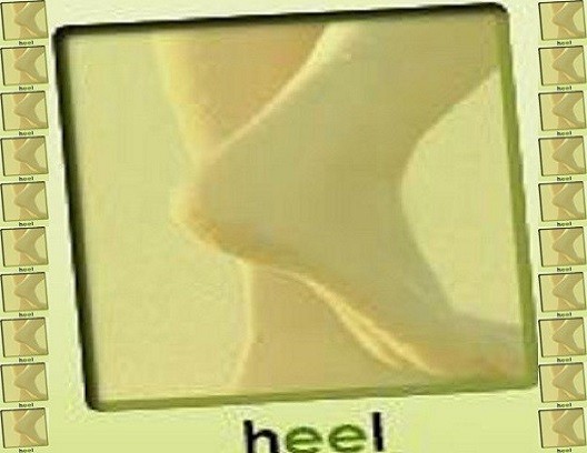 heel