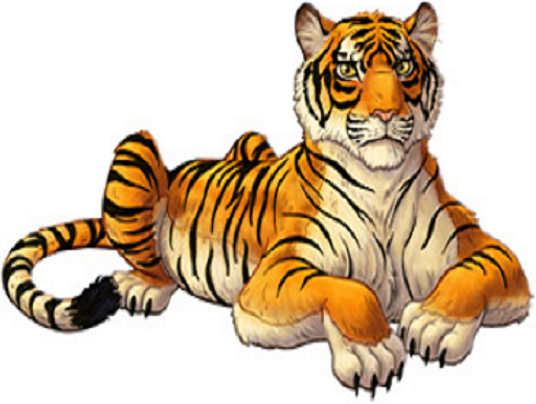 tiger one