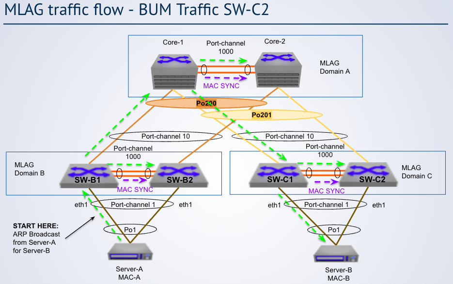 <p><strong>BUM traffic</strong></p><p>In the diagram, peer switches do not forward broadcasts on their port channel links because <span class="tt-bg-red">___</span></p>