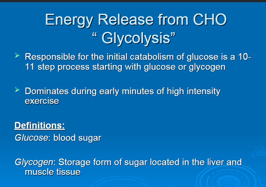 <p>energy release from carbs</p>