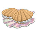<p>clam shell cookies</p>