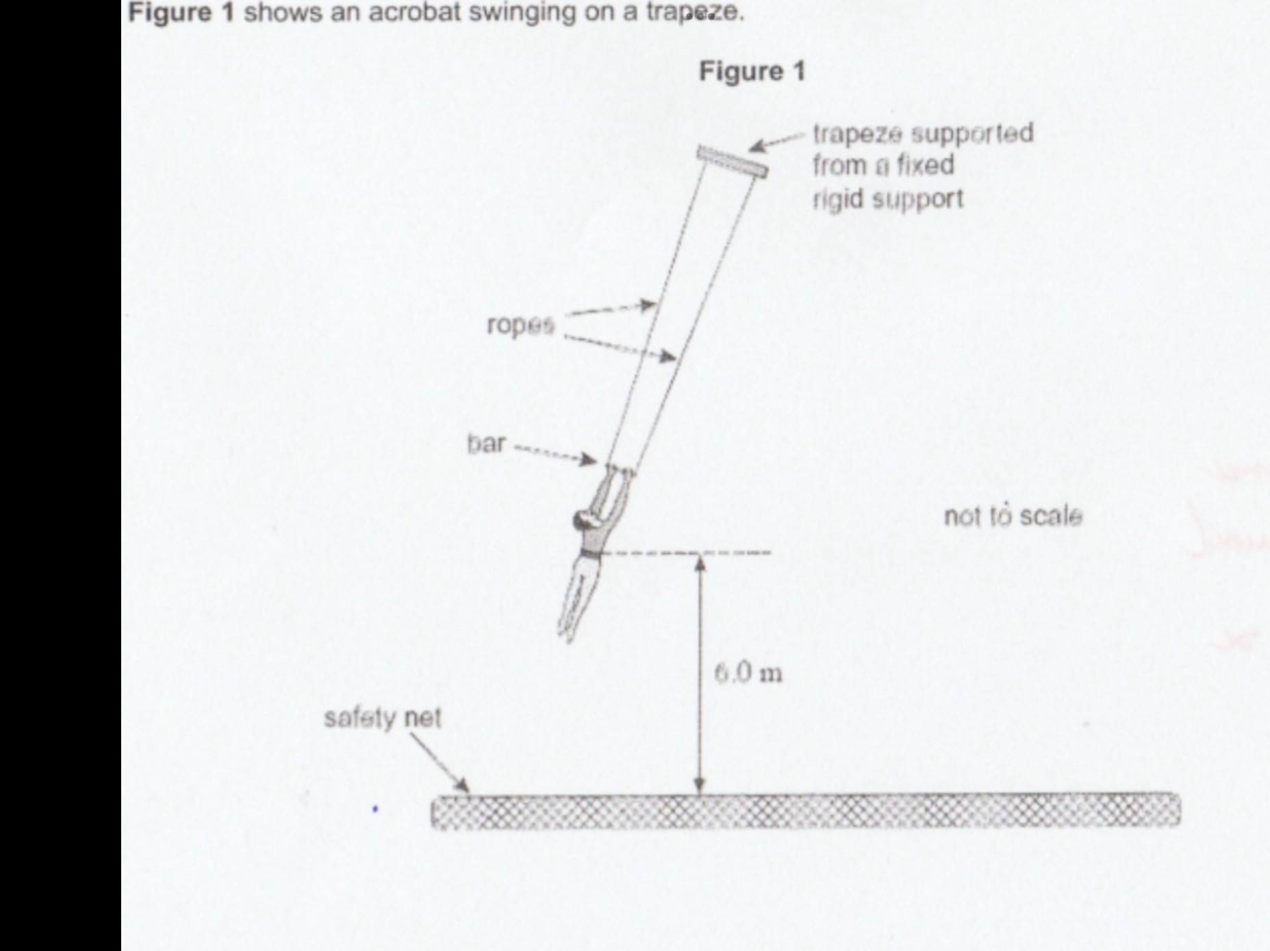 <p>Amplitude of string - 1.8 m</p><p>Acrobat lets go at lowest point calculate their speed when they let go of the bar time period 3.8</p>