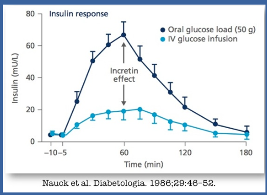 <p>☆<span class="tt-bg-blue">The incretin effect refers to the enhanced release of insulin from pancreatic beta cells in response to oral nutrient ingestion</span>, particularly from the gut-derived incretin hormones such as glucagon-like peptide-1 (GLP-1) and glucose-dependent insulinotropic polypeptide (GIP).</p><p>☆There is evidence suggesting impairment of the incretin effect in individuals with T2DM.</p><p>☆Consequently, targeting the incretin system has become a major focus for the development of new drugs aimed at managing T2DM.</p>