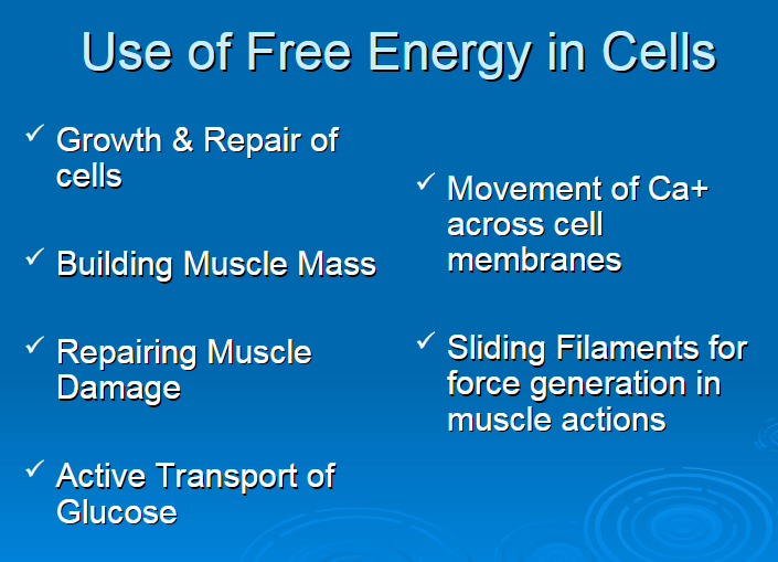 <p>Use of free energy in cells</p>