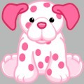 <p>pink dalmatian</p>