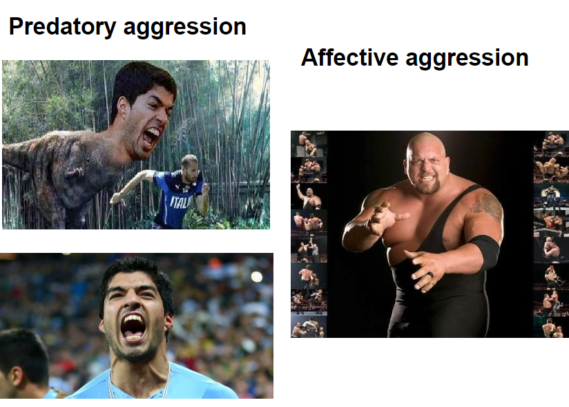 <p><strong>Predatory aggression</strong>:</p><p>Attacks made against a member of a different species to obtain food.</p><p>No sympathetic activity is involved in this form of aggression.</p><p><strong>Affective aggression</strong>:</p><p>Aggression used for show, such as threatening posture, or to assert dominance within a social hierarchy.</p><p>High levels of sympathetic activity are involved.</p><p>This type of aggression is related to social hierarchies.</p>