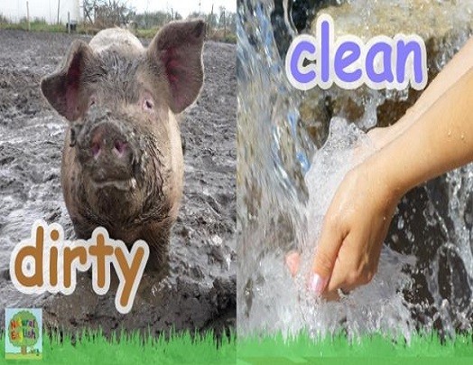 <p>dirty and clean</p>