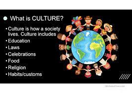 <p>What is culture?</p>