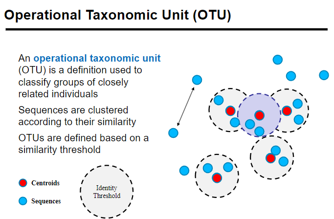 <p>An <strong>Operational Taxonomic Unit (OTU)</strong> is used to classify groups of closely related individuals.</p><p>Sequences are <strong>clustered</strong> based on their <strong>similarity</strong>, grouping organisms with similar genetic sequences.</p><p><strong>OTUs</strong> are defined by a <strong>similarity threshold</strong>, typically around 97% sequence identity, to determine species or genus-level grouping.</p>