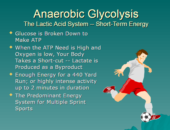 <p>anaerobic glycolysis </p>