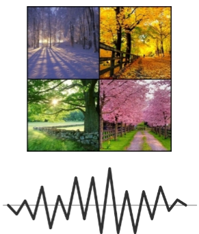 <p>Brain rhythms refer to distinct patterns of neuronal activity.</p><p>These patterns are associated with specific behaviours, arousal levels, and sleep states.</p>