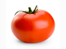 <p>tomato</p>