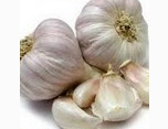 <p>garlic</p>